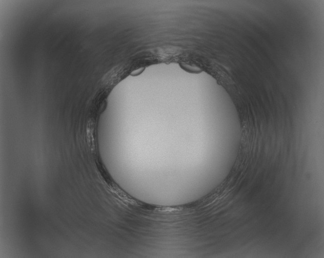 X0000054460527200507291024