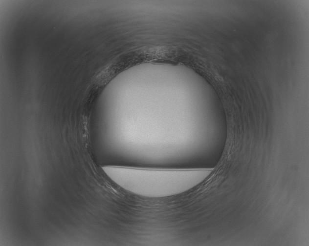 X0000054460528200507291024