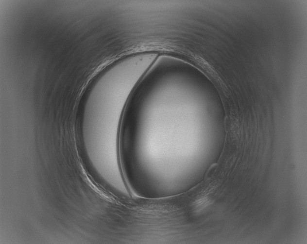 X0000054460530200507291024