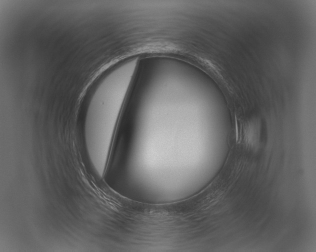 X0000054460531200507291024
