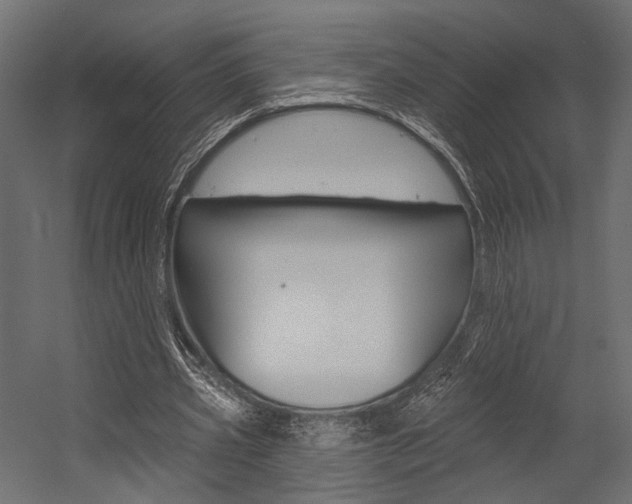 X0000054460533200507291024