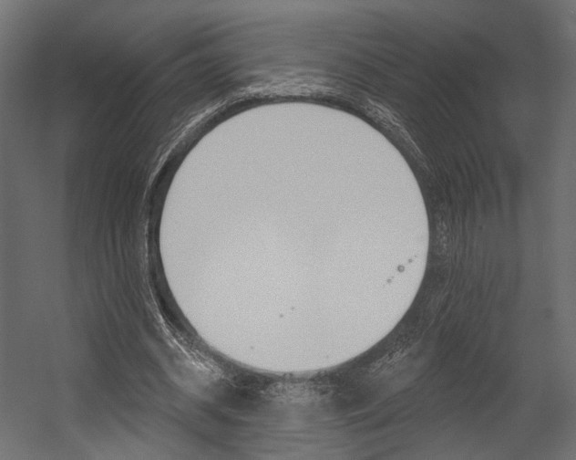 X0000054460534200507291024