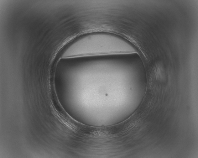 X0000054460535200507291024