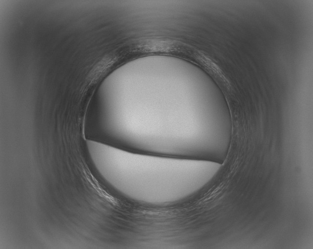 X0000054460537200507291024