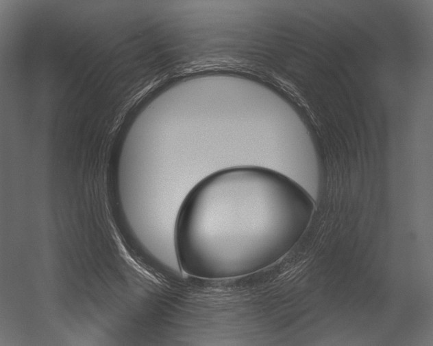 X0000054460538200507291024