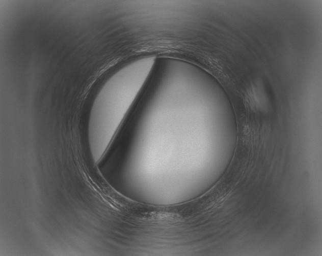 X0000054460539200507291024