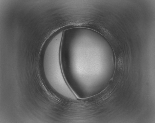 X0000054460540200507291024