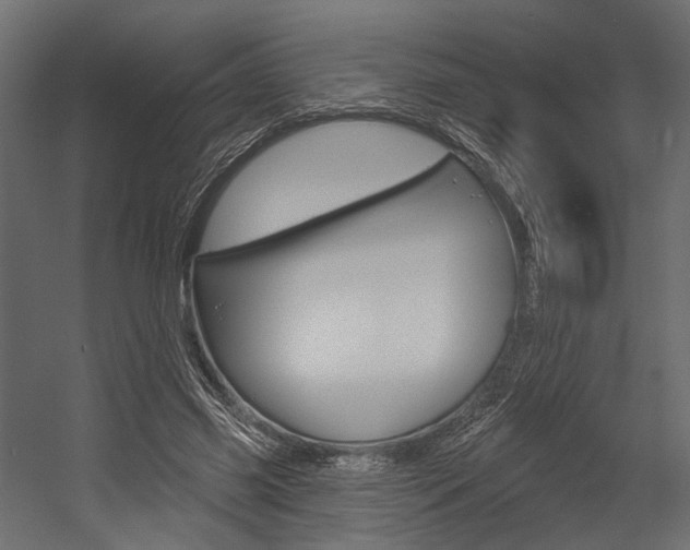X0000054460541200507291024