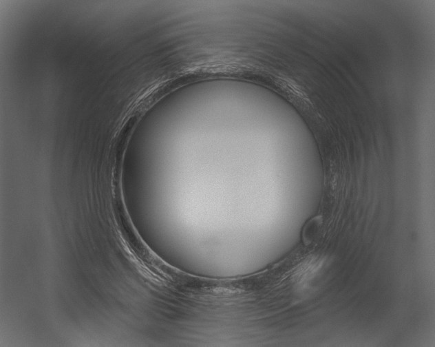 X0000054460542200507291024