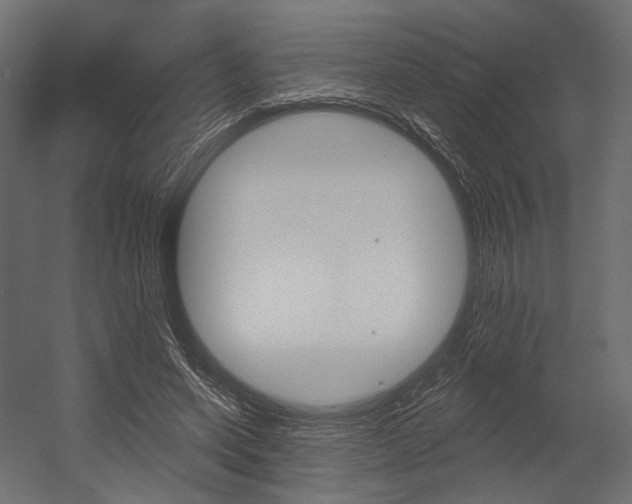 X0000054460543200507291024