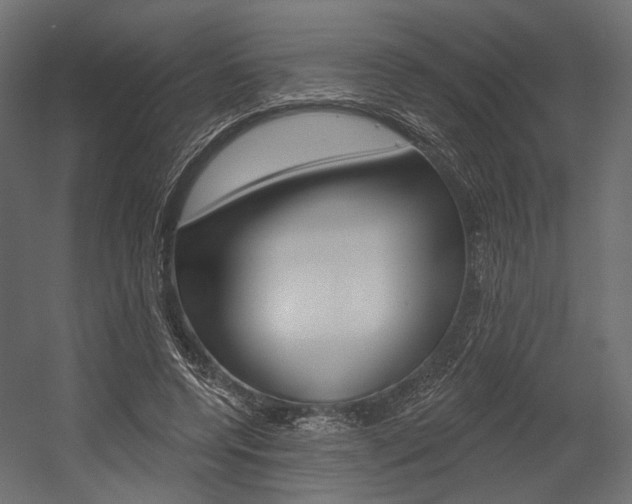 X0000054460544200507291024