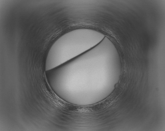 X0000054460545200507291024