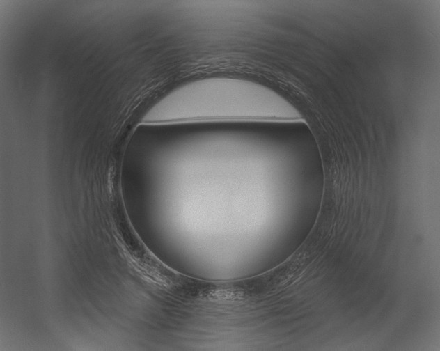 X0000054460546200507291024