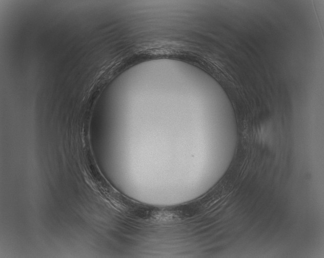 X0000054460547200507291024