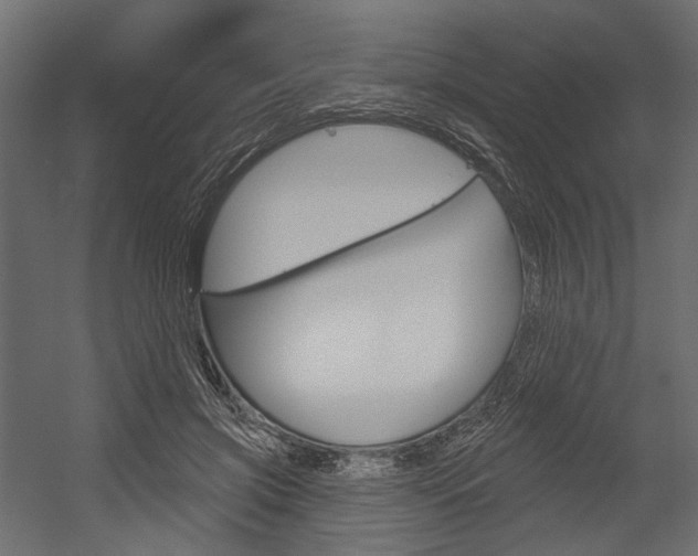 X0000054460549200507291024