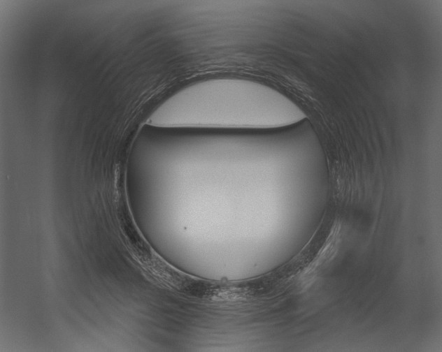 X0000054460550200507291024