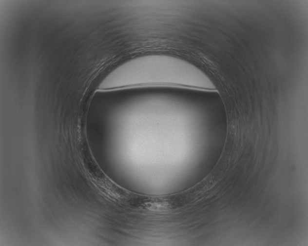 X0000054460552200507291024