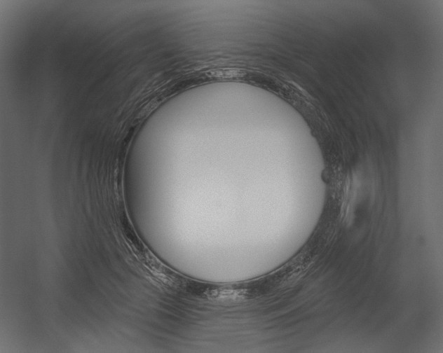 X0000054460553200507291024