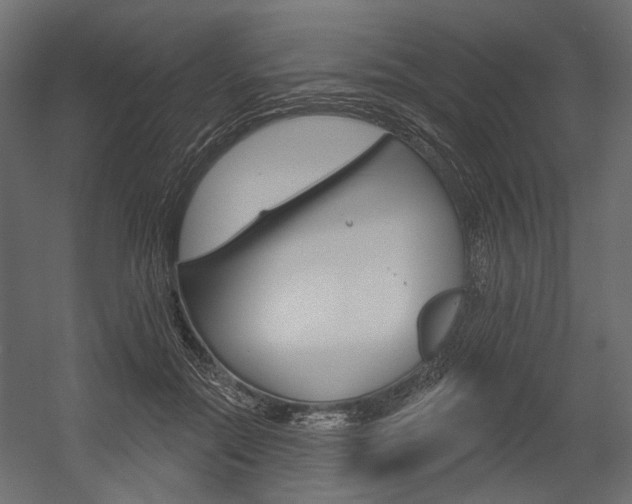 X0000054460554200507291024