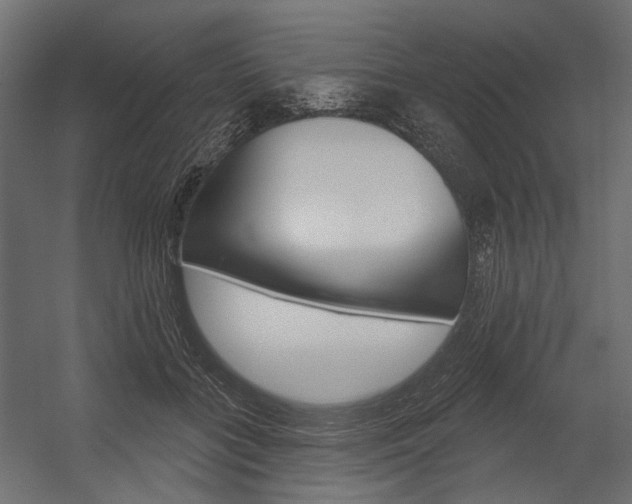 X0000054460555200507291024