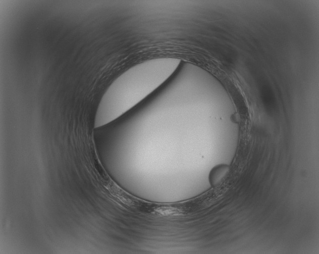 X0000054460557200507291024