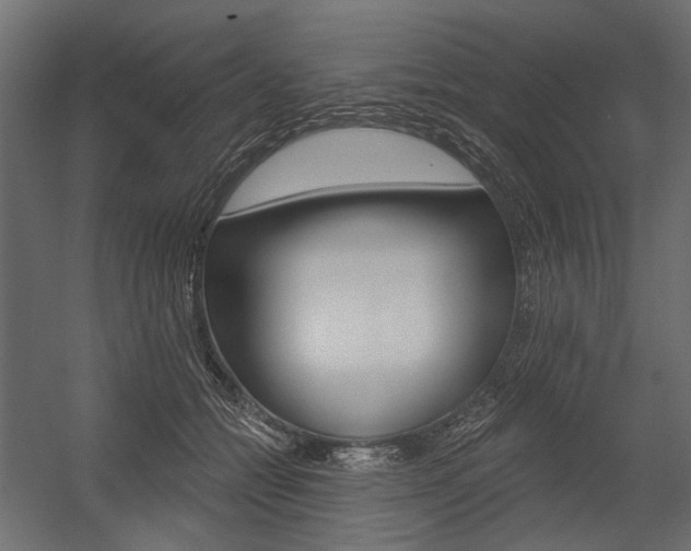 X0000054460558200507291024