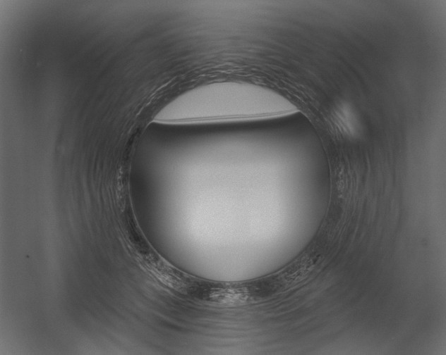 X0000054460559200507291024