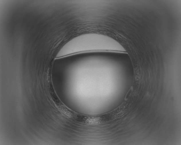 X0000054460560200507291024