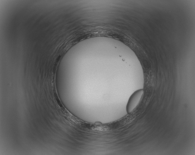 X0000054460561200507291024