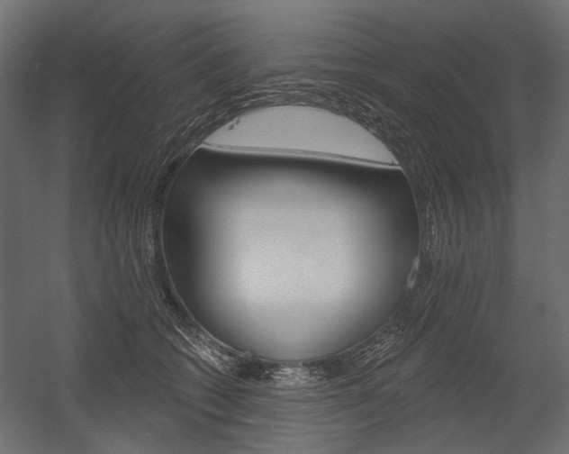 X0000054460562200507291024