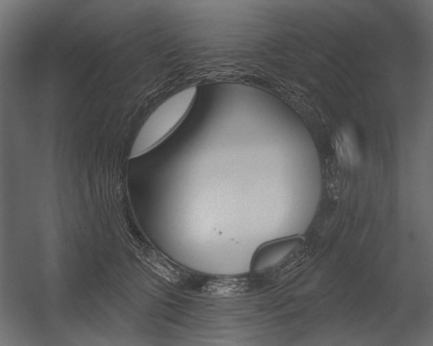 X0000054460563200507291024