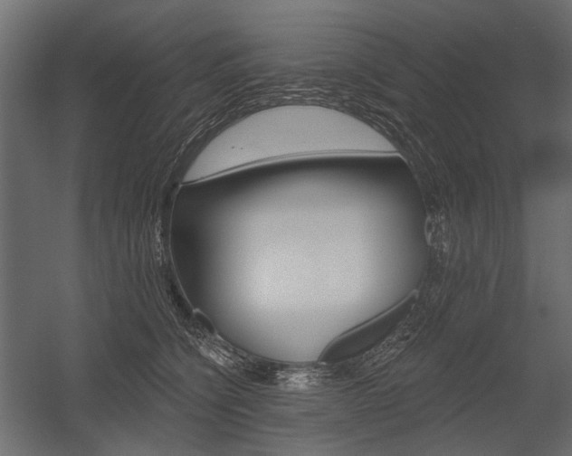 X0000054460564200507291024