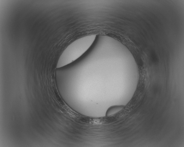 X0000054460565200507291024