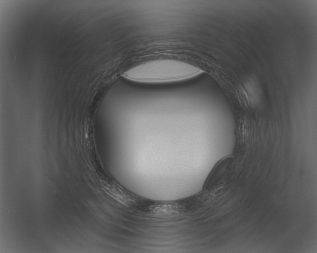 X0000054460567200507291024
