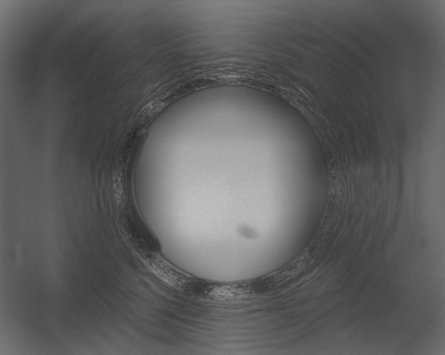 X0000054460568200507291024