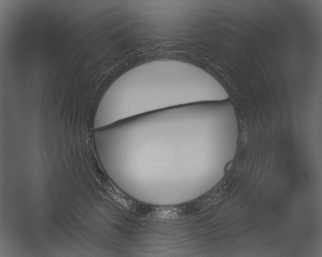 X0000054460569200507291024