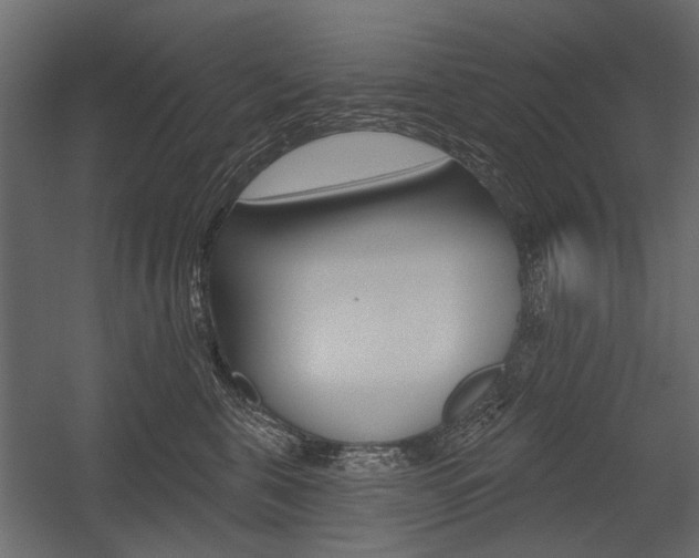X0000054460571200507291024