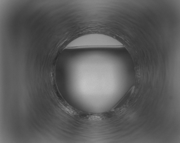 X0000054460572200507291024