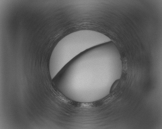 X0000054460573200507291024