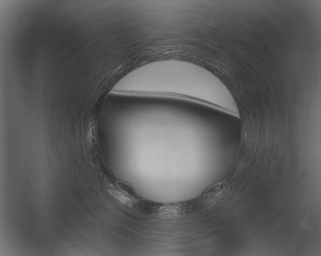 X0000054460574200507291024