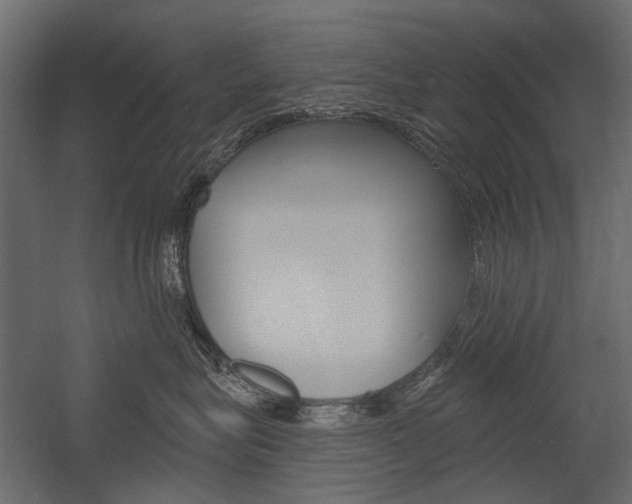 X0000054460575200507291024