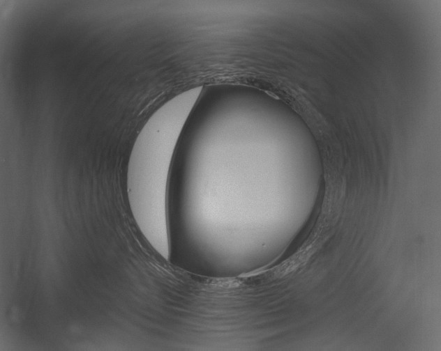 X0000054460576200507291024