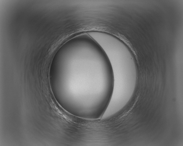 X0000054460577200507291023