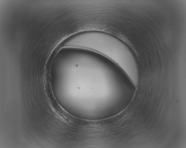 X0000054460580200507291023