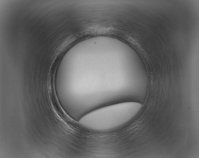 X0000054460582200507291023