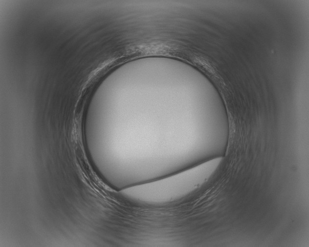 X0000054460583200507291023