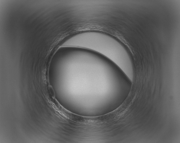 X0000054460585200507291023