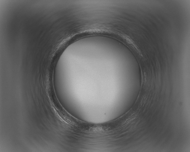 X0000054460588200507291023