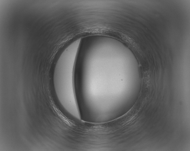 X0000054460589200507291023