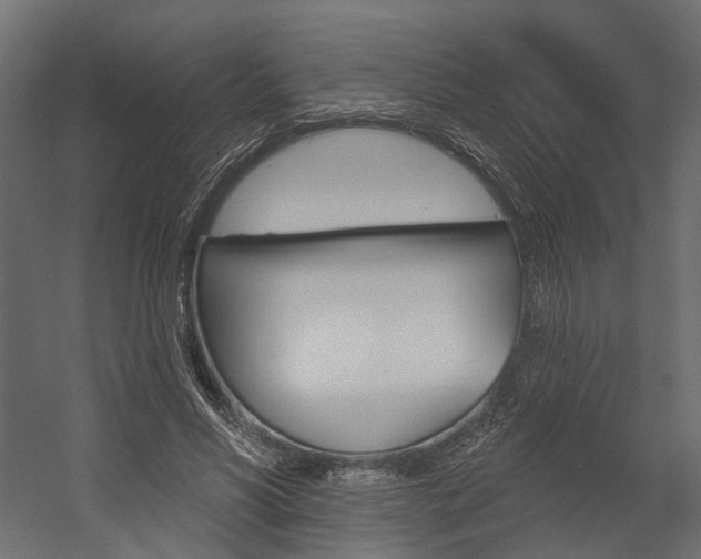 X0000054460590200507291023